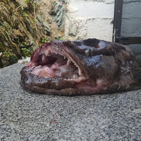 Casa Miguel 3* Artedo